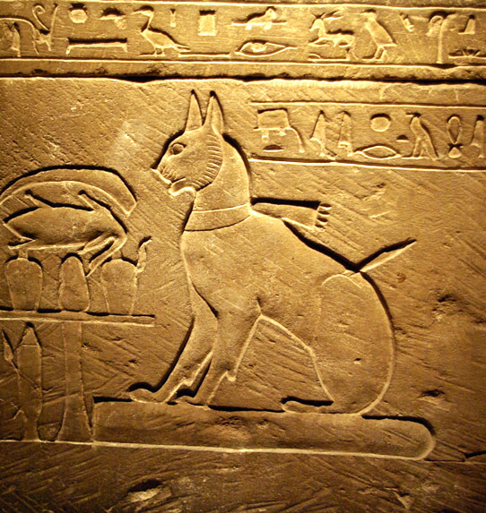 Płaskorzeźba kota, Egipt starożytny, Sarkofag kota księcia Tutmozisa, wystawiony w Muzeum Sztuk Pięknych w Valenciennes we Francji, - źródło: en.wikipedia.org; coppyrighted