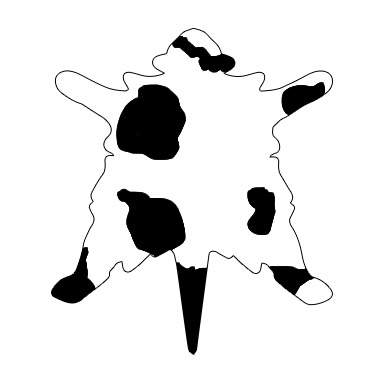 Rodzaj deseniu futra kota - typ harlekin, białe z łatami na głowie, ogonie i plecach. Przykład rozmieszcenia łat.
